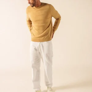 Pull Cruiser (TOILE)