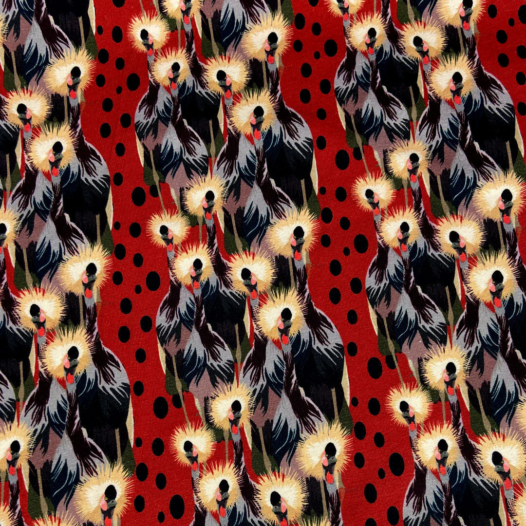 Tissu coton jersey Stenzo – Image 3